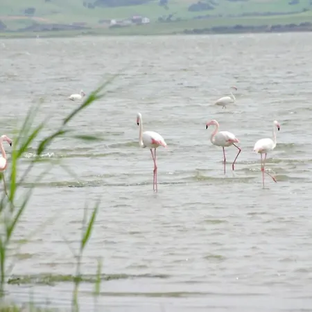 Casa Antonella Sul Golf *