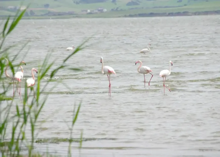 Casa Antonella Sul Golf *